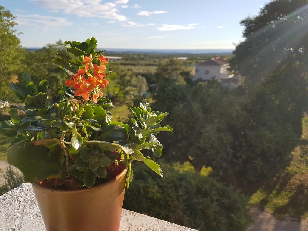 Apartman Andela Labinci Buitenkant foto